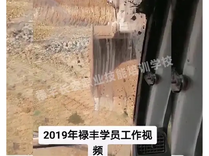 禄丰学员工作视频